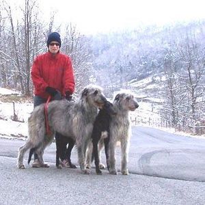 Meet your Posher, Deborah